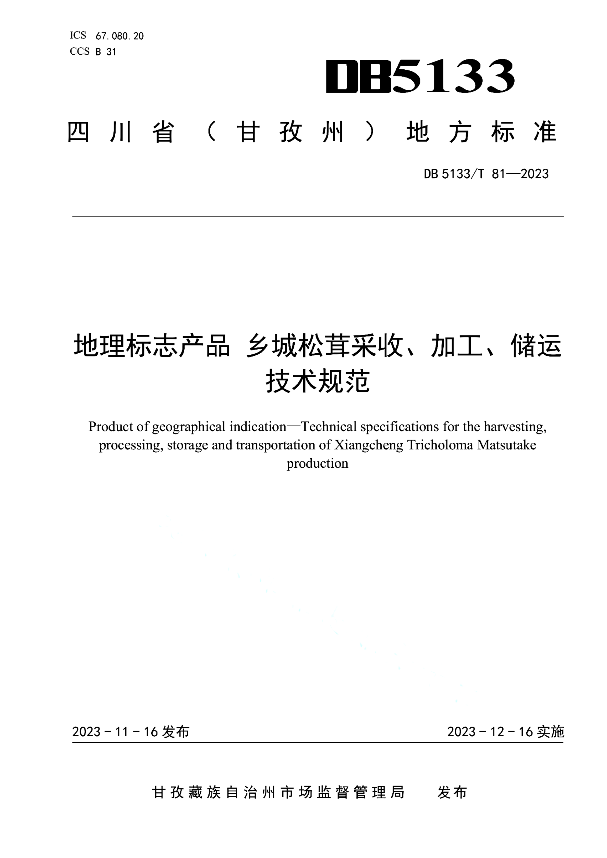 资源详情图